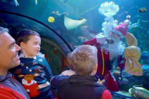 acquario Gardaland natale